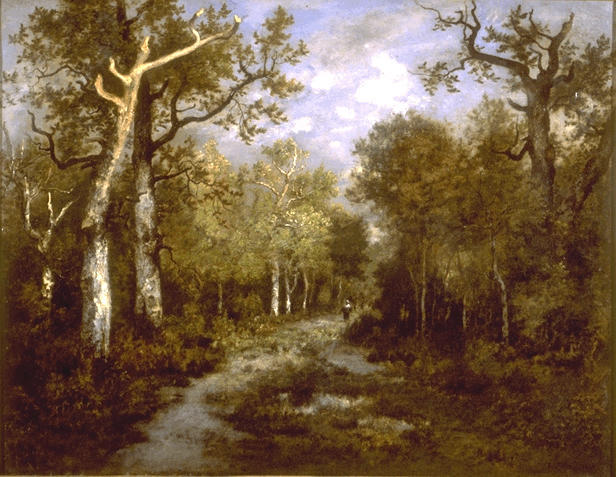 The Forest&#160;of&#160;Fontainebleau