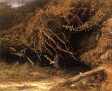 Картина "forest with ducks and frogs" художника "бодмер карл"