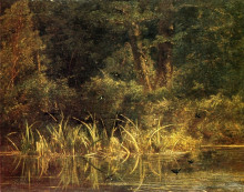 Картина "river scene with barn swallows" художника "бодмер карл"