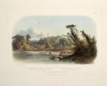 Картина "punka indians encamped on the banks of the missouri, plate 11 from volume 1 of `travels in the interior of north america&#39;" художника "бодмер карл"