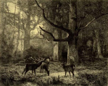 Картина "forest of fontainbleau" художника "бодмер карл"