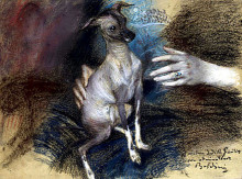 Копия картины "elegante au chien" художника "болдини джованни"