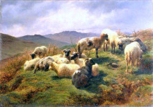 Копия картины "sheep in the highlands" художника "бонёр роза"