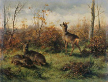 Репродукция картины "roe deer" художника "бонёр роза"