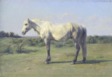 Копия картины "a grey horse in a field" художника "бонёр роза"