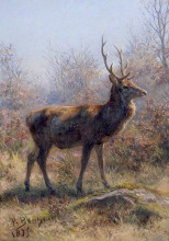 Копия картины "the stag" художника "бонёр роза"