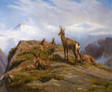 Репродукция картины "chamois" художника "бонёр роза"