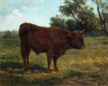 Репродукция картины "longhorn bull in a landscape" художника "бонёр роза"