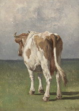 Картина "study of a cow" художника "бонёр роза"