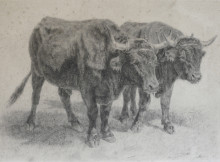 Картина "boeufs du cantal" художника "бонёр роза"