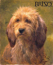 Репродукция картины "brizo, a shepherd&#39;s dog" художника "бонёр роза"