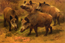 Репродукция картины "four boars in a landscape" художника "бонёр роза"
