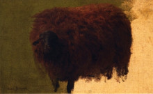Картина "large wooly sheep (also known as wether)" художника "бонёр роза"
