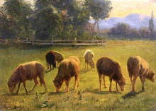 Картина "sheep in a landscape" художника "бонёр роза"