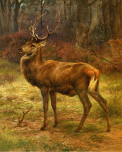 Копия картины "stag in an autumn landscape" художника "бонёр роза"