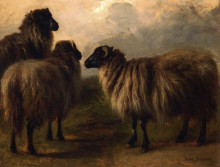 Копия картины "three wooly sheep" художника "бонёр роза"