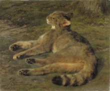 Картина "wild cat" художника "бонёр роза"