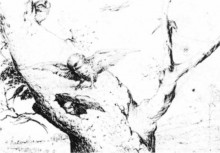 Репродукция картины "гнездо сов" художника "босх иероним"