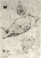 Картина "черепаха и крылатый демон" художника "босх иероним"
