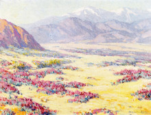 Копия картины "california desert wildflowers with mountains beyond" художника "браун бенджамин"