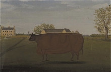 Картина "painting of a prize cow in a field" художника "брэдли джон"
