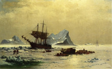 Картина "among the ice floes" художника "брэдфорд уильям"
