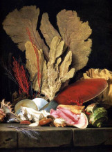 Картина "still-life with tuft of marine plants, shells and corals" художника "валайер-костер анна"