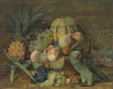 Картина "fruit still life with an amazon parrot" художника "вальдмюллер фердинанд георг"