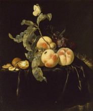 Копия картины "still life of fruit" художника "ван алст виллем"