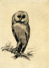 Репродукция картины "barn owl viewed from the front" художника "ван гог винсент"