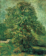 Репродукция картины "chestnut tree in blossom" художника "ван гог винсент"