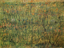 Репродукция картины "pasture in bloom" художника "ван гог винсент"