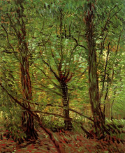 Репродукция картины "trees and undergrowth" художника "ван гог винсент"