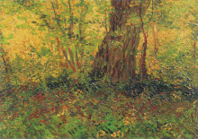 Репродукция картины "undergrowth" художника "ван гог винсент"