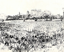 Картина "field with flowers" художника "ван гог винсент"