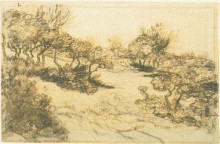Копия картины "hill with bushes" художника "ван гог винсент"