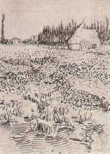 Копия картины "landscape with hut in the camargue" художника "ван гог винсент"