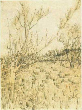 Картина "orchard with arles in the background" художника "ван гог винсент"