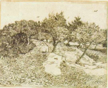 Картина "the olive trees" художника "ван гог винсент"