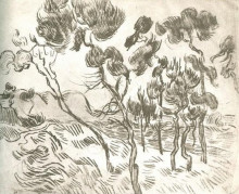 Репродукция картины "a group of pine trees near a house" художника "ван гог винсент"