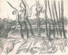 Копия картины "a row of bare trees" художника "ван гог винсент"