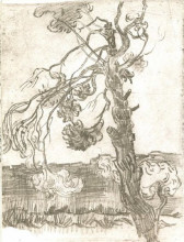 Репродукция картины "a weather-beaten pine tree" художника "ван гог винсент"