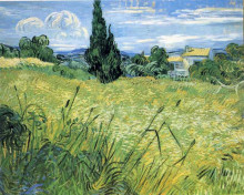 Репродукция картины "green wheat field with cypress" художника "ван гог винсент"