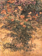 Репродукция картины "oleanders, the hospital garden at saint-remy" художника "ван гог винсент"