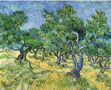 Копия картины "olive grove" художника "ван гог винсент"