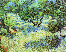 Репродукция картины "olive grove - bright blue sky" художника "ван гог винсент"