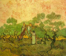 Репродукция картины "olive picking" художника "ван гог винсент"