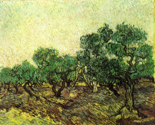 Копия картины "olive picking" художника "ван гог винсент"