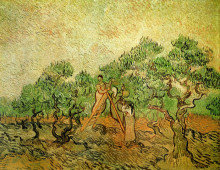 Репродукция картины "olive picking" художника "ван гог винсент"