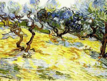 Репродукция картины "olive trees bright blue sky" художника "ван гог винсент"